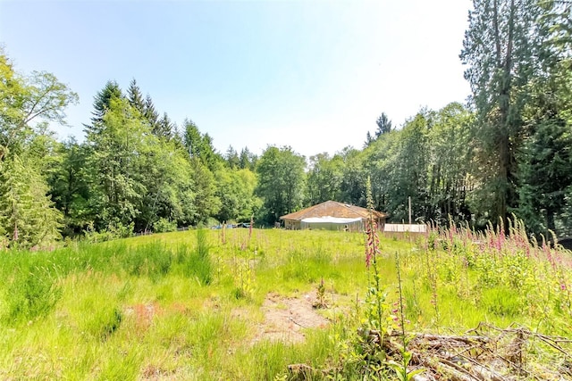 9904 Banner Rd SE, Olalla, WA 98359 - photo 6