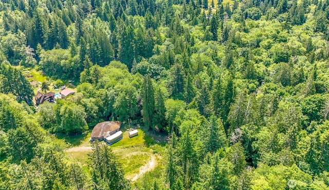 9904 Banner Rd SE, Olalla, WA 98359 - photo 15