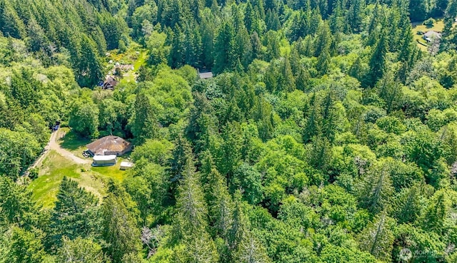 9904 Banner Rd SE, Olalla, WA 98359 - photo 16