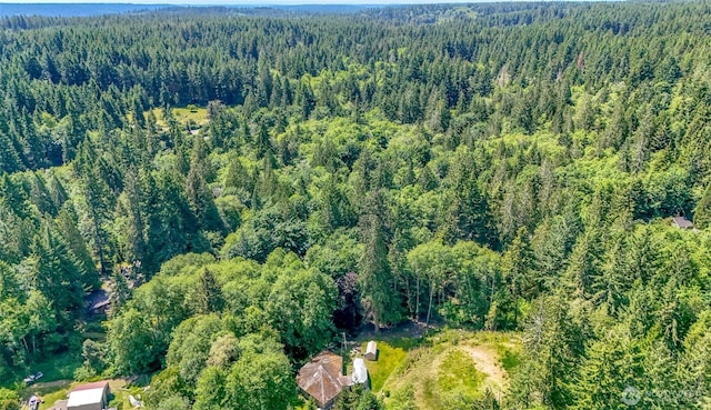 9904 Banner Rd SE, Olalla, WA 98359 - photo 18