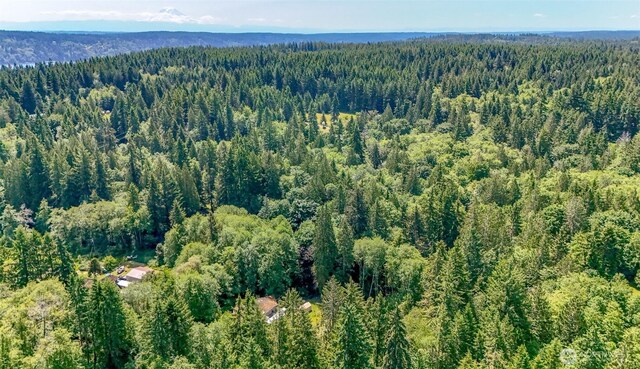9904 Banner Rd SE, Olalla, WA 98359 - photo 19