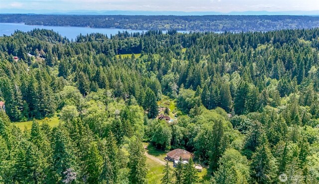 9904 Banner Rd SE, Olalla, WA 98359 - photo 20