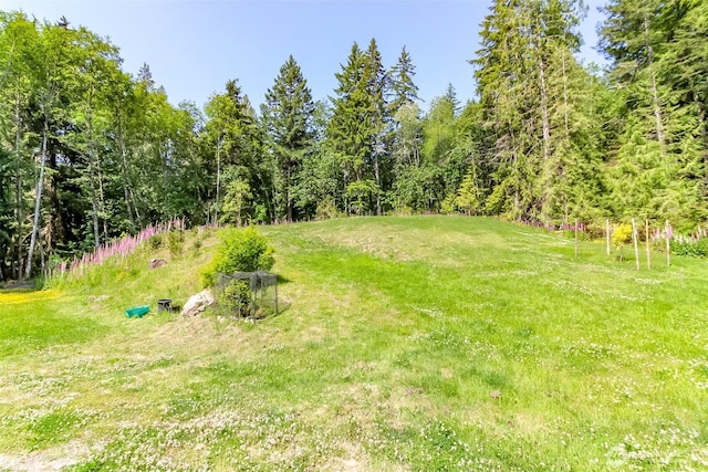9904 Banner Rd SE, Olalla, WA 98359 - photo 30