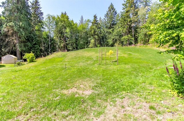 9904 Banner Rd SE, Olalla, WA 98359 - photo 31