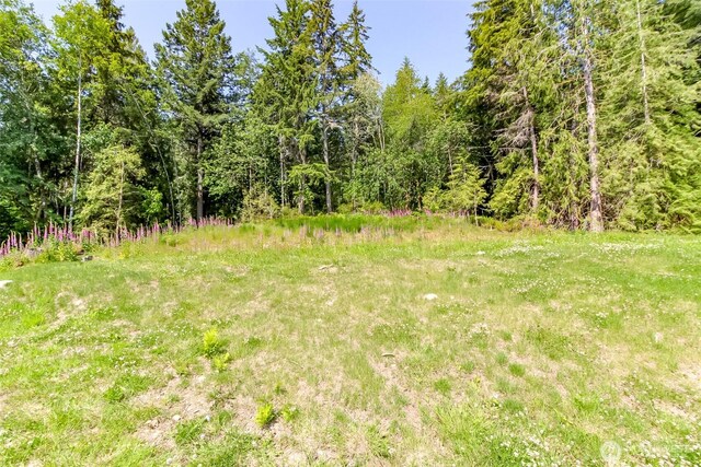 9904 Banner Rd SE, Olalla, WA 98359 - photo 33