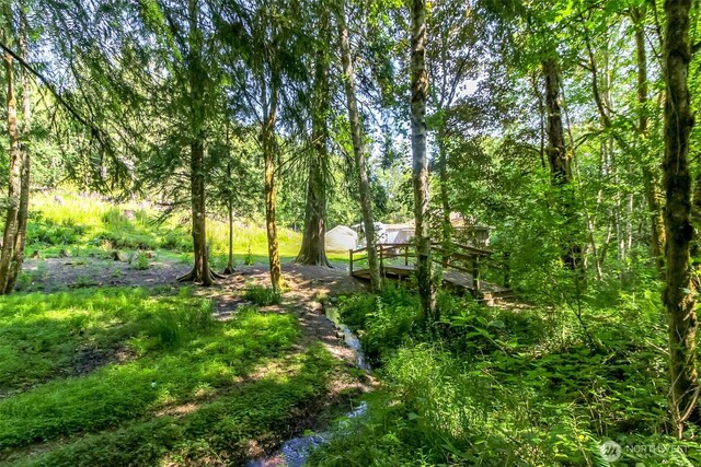 9904 Banner Rd SE, Olalla, WA 98359 - photo 37