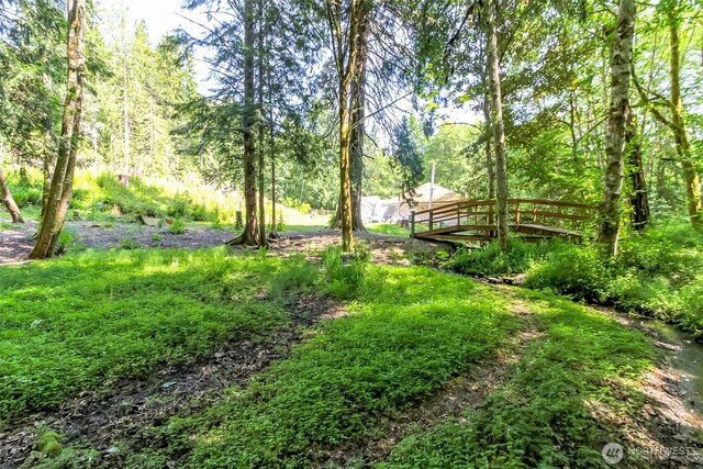 9904 Banner Rd SE, Olalla, WA 98359 - photo 38