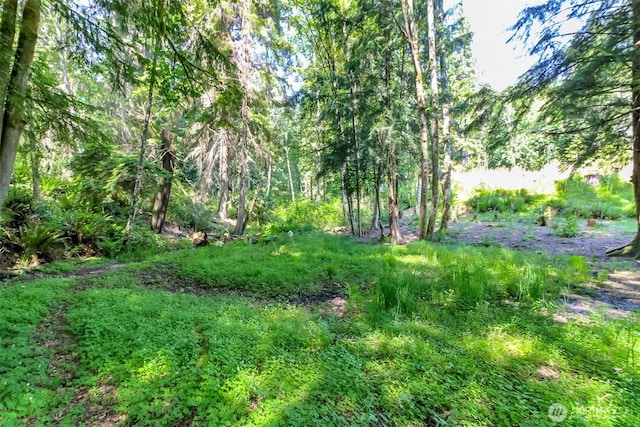 9904 Banner Rd SE, Olalla, WA 98359 - photo 39