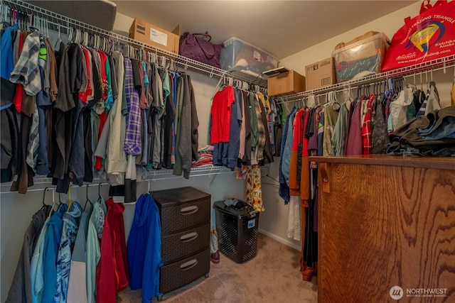 7615 14th St SE, Lake Stevens, WA 98258 - walk in closet with carpet flooring