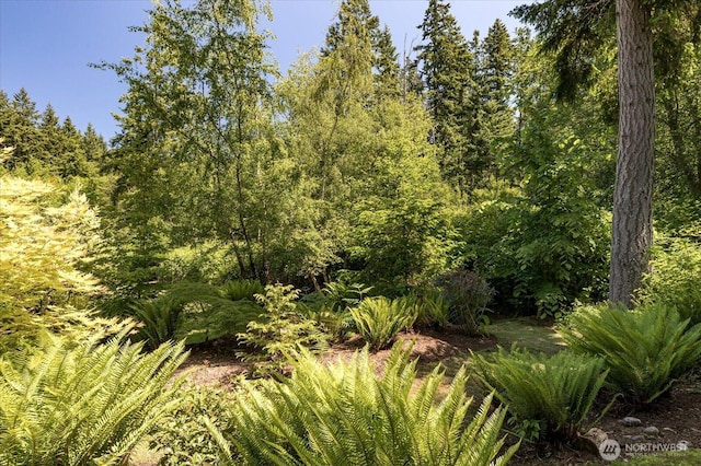6124 Cultus Bay Rd, Clinton, WA 98236 - photo 5