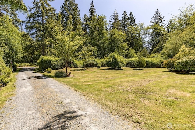 6124 Cultus Bay Rd, Clinton, WA 98236 - photo 36