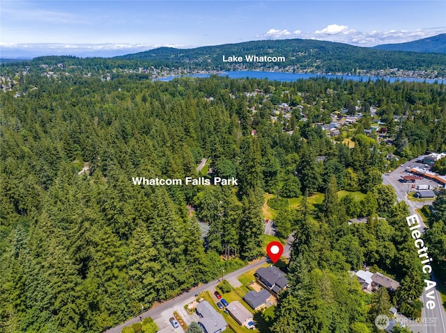 3536 Arbor St, Bellingham, WA 98229 - aerial view of a forest and a water and mountain view