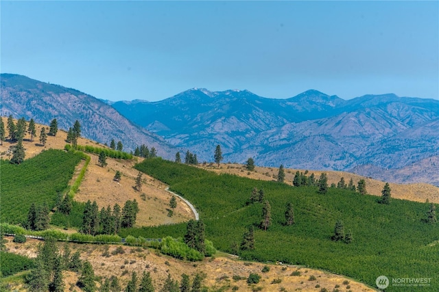 322 Paintbrush Rd, Chelan, WA 98816