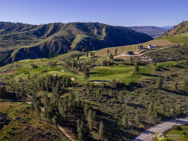 322 Paintbrush Rd, Chelan, WA 98816