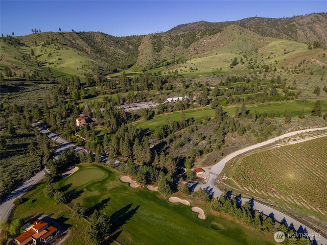 322 Paintbrush Rd, Chelan, WA 98816
