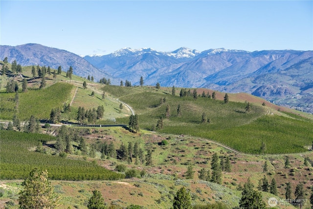 322 Paintbrush Rd, Chelan, WA 98816