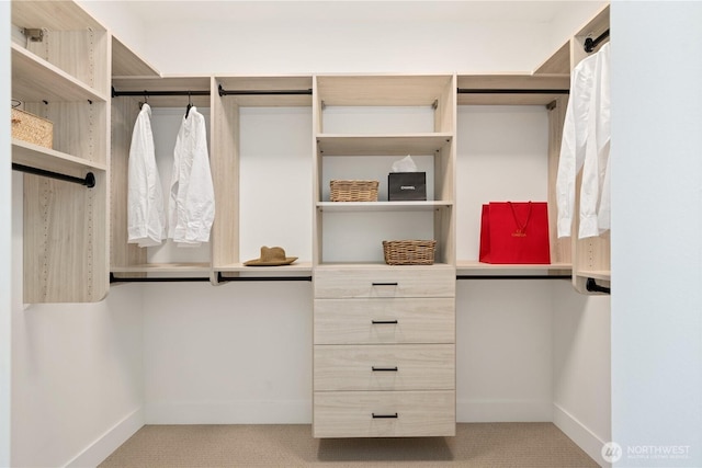 13030 NE 85th Ln, Kirkland, WA 98033 - walk in closet with carpet flooring