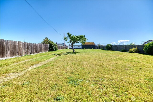 1811 Edwards Dr, Point Roberts, WA 98281 - view of yard