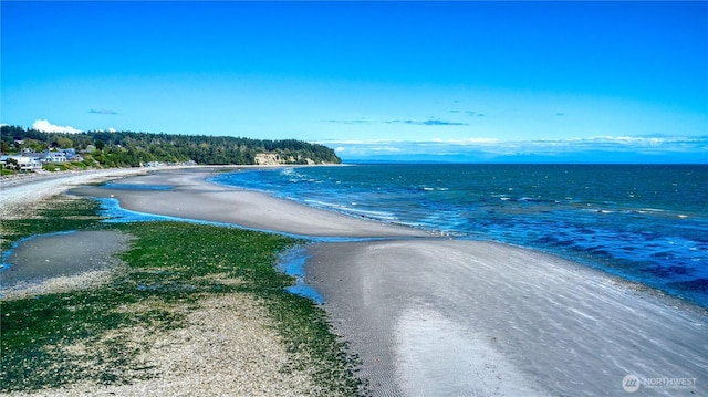 1811 Edwards Dr, Point Roberts, WA 98281 - water view featuring local beach