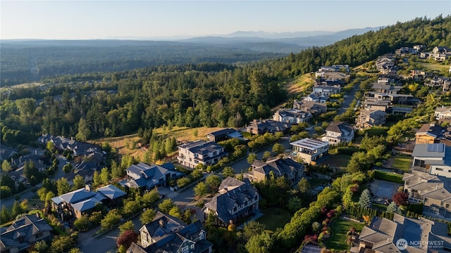 3169 NE Harrison St, Issaquah, WA 98029 - photo 36