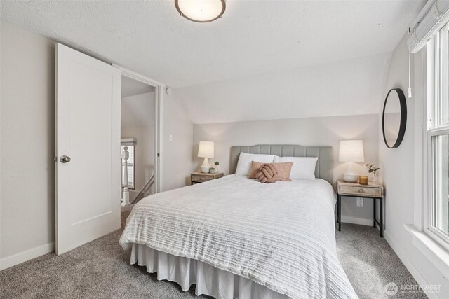 1022 N Anderson St, Tacoma, WA 98406 - carpeted bedroom with multiple windows and vaulted ceiling