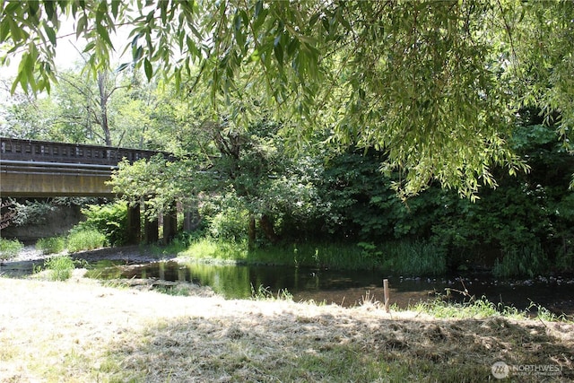 418 SW Canyon Loop, Winlock, WA 98596 - view of yard featuring a water view and a forest view