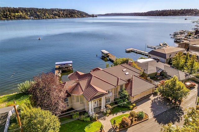 17765 Beach Dr NE, Lake Forest Park, WA 98155 - view of subject property featuring a nearby body of water