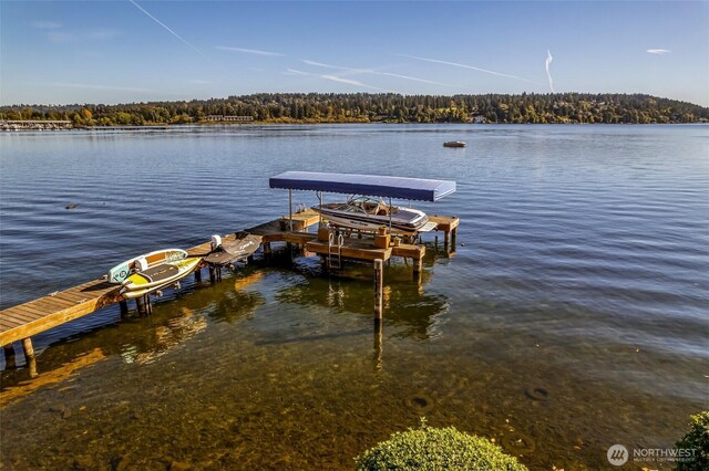 17765 Beach Dr NE, Lake Forest Park, WA 98155 - dock area featuring boat lift, a water view, and a view of trees