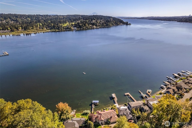 17765 Beach Dr NE, Lake Forest Park, WA 98155 - drone / aerial view of a nearby body of water