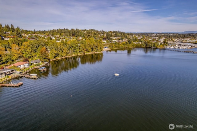 17765 Beach Dr NE, Lake Forest Park, WA 98155 - water view