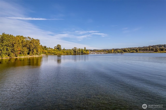 17765 Beach Dr NE, Lake Forest Park, WA 98155 - water view