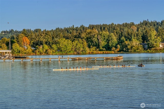 17765 Beach Dr NE, Lake Forest Park, WA 98155 - water view with a forest