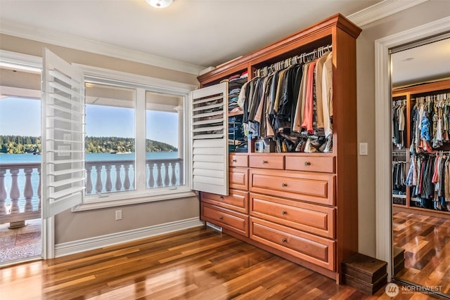 17765 Beach Dr NE, Lake Forest Park, WA 98155 - spacious closet with dark wood-style flooring
