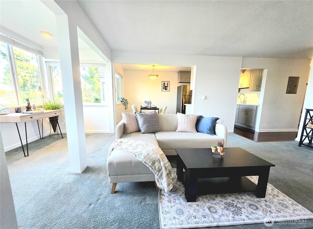 3814 11th Ave W Apt 23, Seattle, WA 98119 - carpeted living area featuring a sink, baseboards, and electric panel