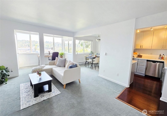 3814 11th Ave W Apt 23, Seattle, WA 98119 - living room featuring baseboards, dark colored carpet, and baseboard heating