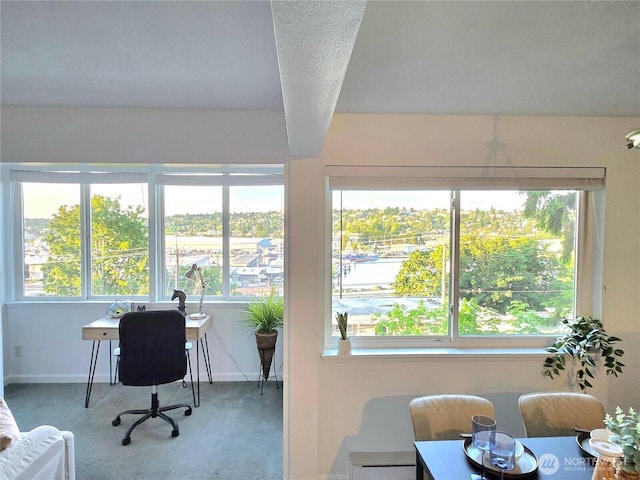 3814 11th Ave W Apt 23, Seattle, WA 98119 - office area with carpet floors and baseboards
