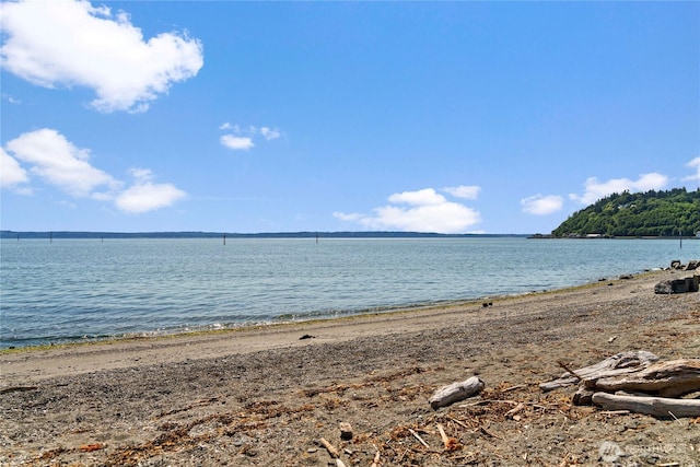 8145 Sandy Hook Dr, Clinton, WA 98236 - photo 34