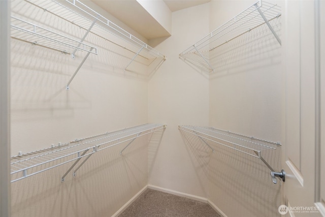 2220 132nd Ave SE Unit A220, Bellevue, WA 98005 - walk in closet with carpet
