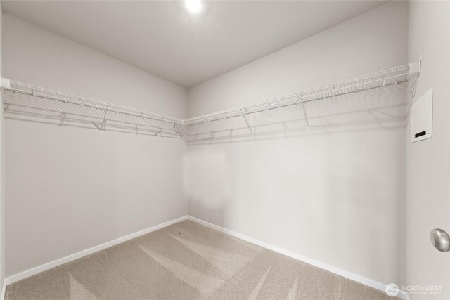 14830 203rd Ave E Unit 684, Bonney Lake, WA 98391 - spacious closet featuring carpet