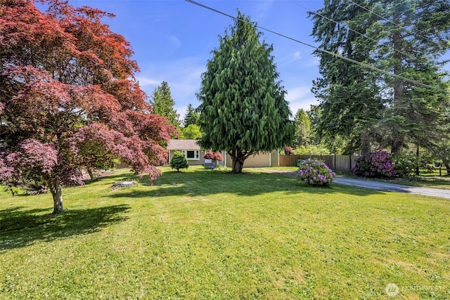 2779 Maple Tree Ln, Camano Island, WA 98282 - view of yard