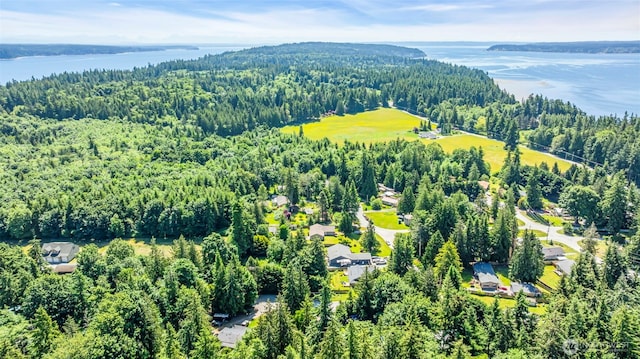 2779 Maple Tree Ln, Camano Island, WA 98282 - aerial view of property and surrounding area featuring a heavily wooded area and a large body of water