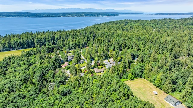 2779 Maple Tree Ln, Camano Island, WA 98282 - aerial overview of property's location featuring a forest and a nearby body of water