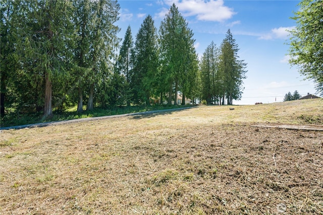 7013 Vandermark Rd E, Bonney Lake, WA 98391