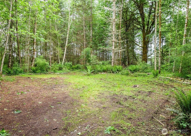 99999 Lakenes Rd, Quilcene, WA 98376 - photo 1