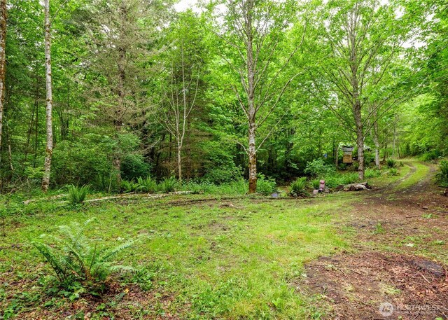 99999 Lakenes Rd, Quilcene, WA 98376 - photo 2