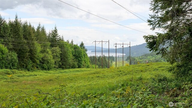 99999 Lakenes Rd, Quilcene, WA 98376 - photo 10