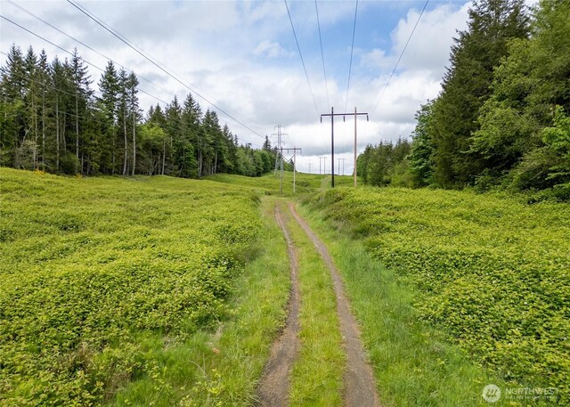 99999 Lakenes Rd, Quilcene, WA 98376 - photo 11