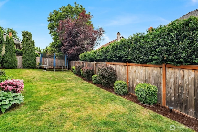 4624 SW 329th Way, Federal Way, WA 98023 - view of yard featuring a trampoline
