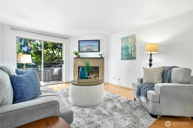6970 California Ave SW Unit B304, Seattle, WA 98136 - living area featuring a glass covered fireplace and wood finished floors