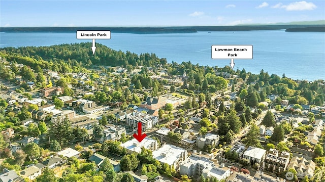 6970 California Ave SW Unit B304, Seattle, WA 98136 - aerial view of property and surrounding area featuring a large body of water and nearby suburban area